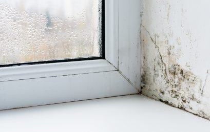 Vortice Addresses Need for Ventilation in Social Housing