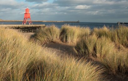South Shields announces plans for 124 properties