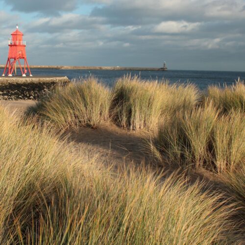 South Shields announces plans for 124 properties