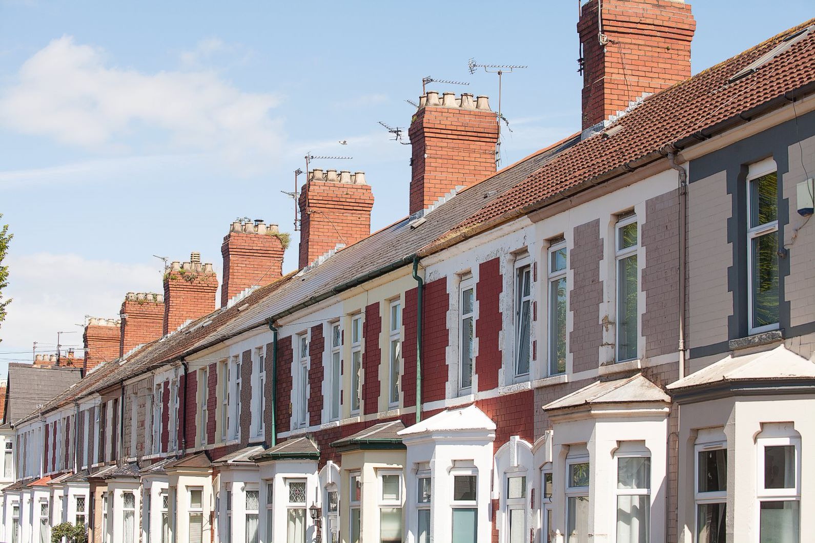 Octopus Launches Global Zero Bills Standard for Energy-bill-free Living