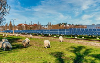 UK’s Largest Community-Owned Solar Farm Plans Backed