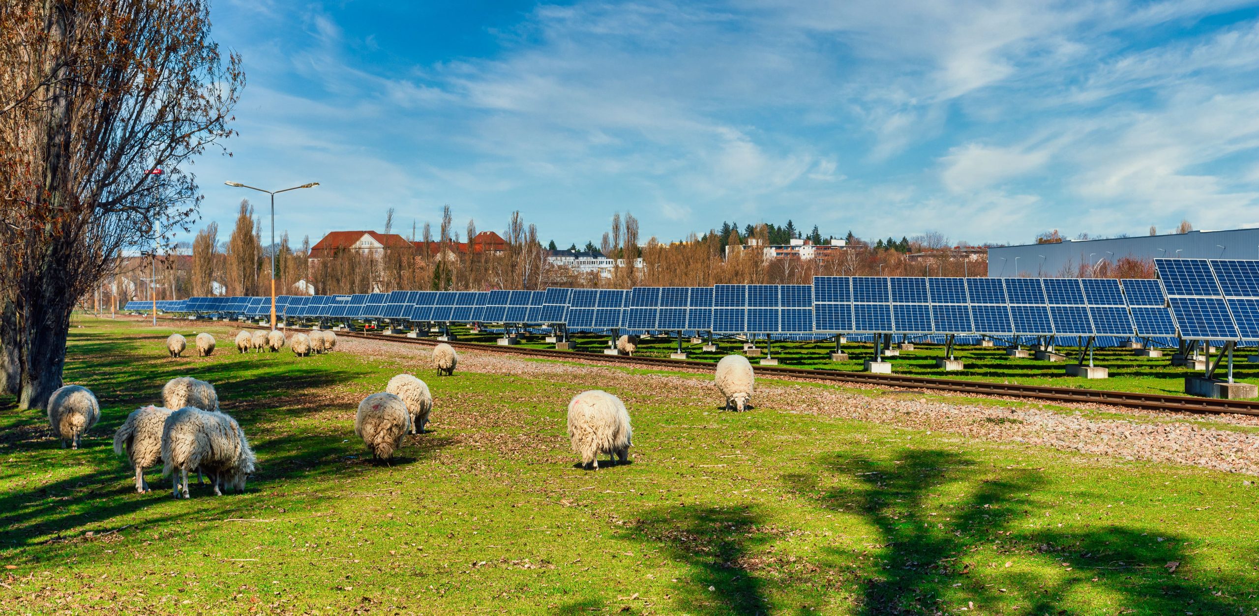UK’s Largest Community-Owned Solar Farm Plans Backed