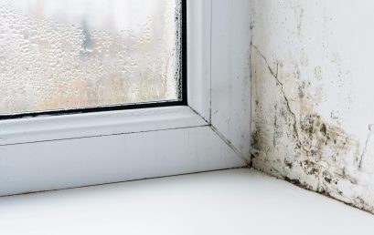 Over 1,100 Private Rented Homes Have Dangerous Damp and Mould